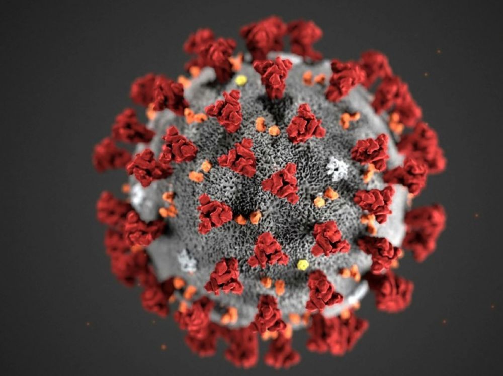 Flash - Coronavirus